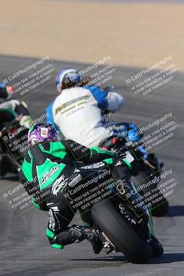 media/Nov-12-2023-SoCal Trackdays (Sun) [[5d1fba4e7d]]/Turn 10 Backside (115pm)/